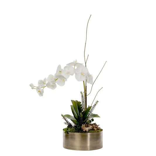 Driftwood & Orchid Arrangement