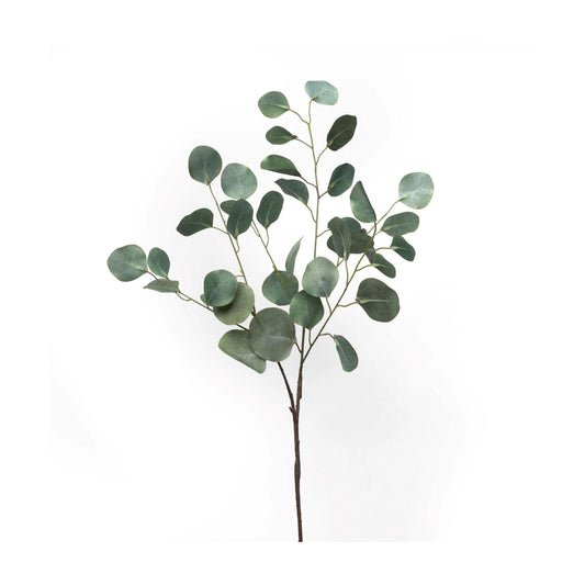 Eucalyptus Stem  | 36"
