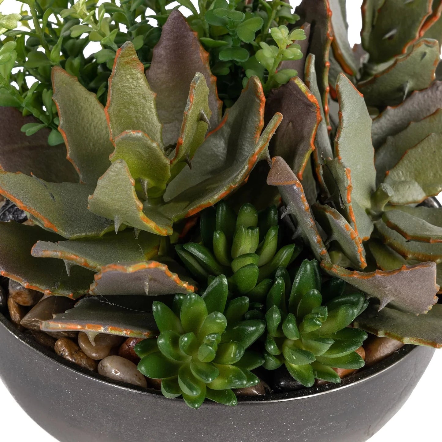 Ceramic Succulent Arrangement