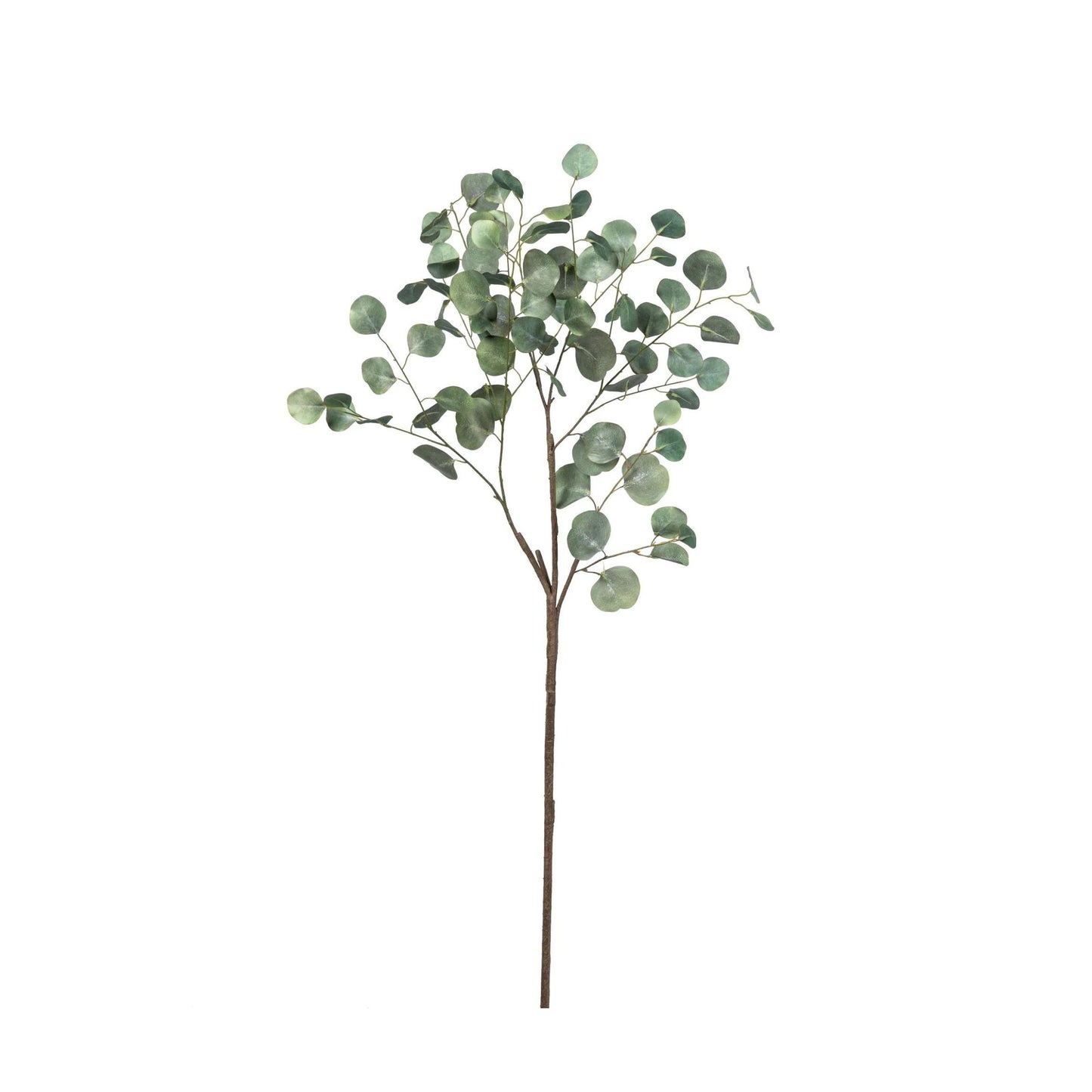 Eucalyptus Stem  | 64"