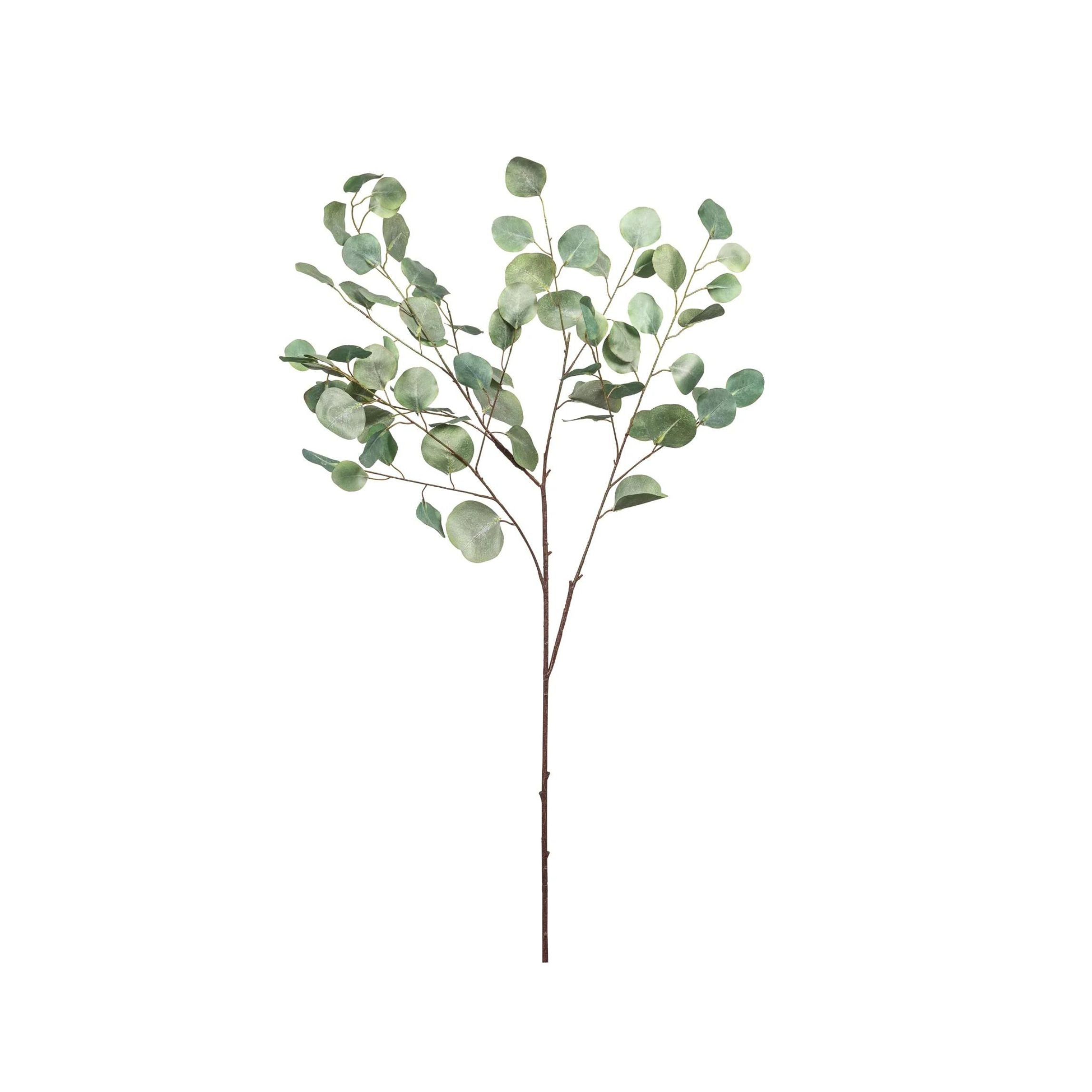Eucalyptus Stem  | 48"