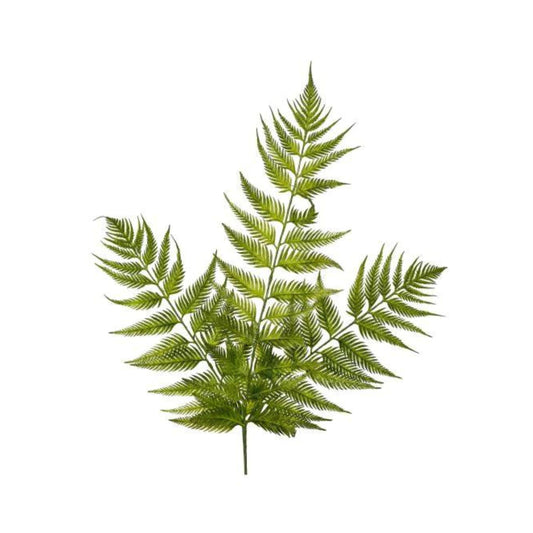 Bracken Fern Stem | 36"