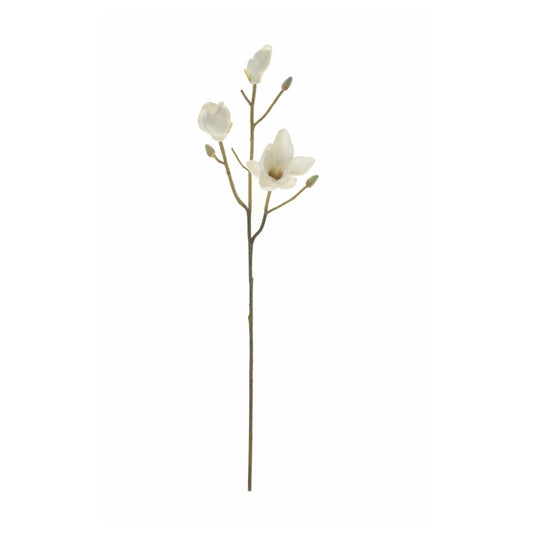 Magnolia Stem| 31"