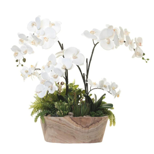 Double Orchid Arrangement