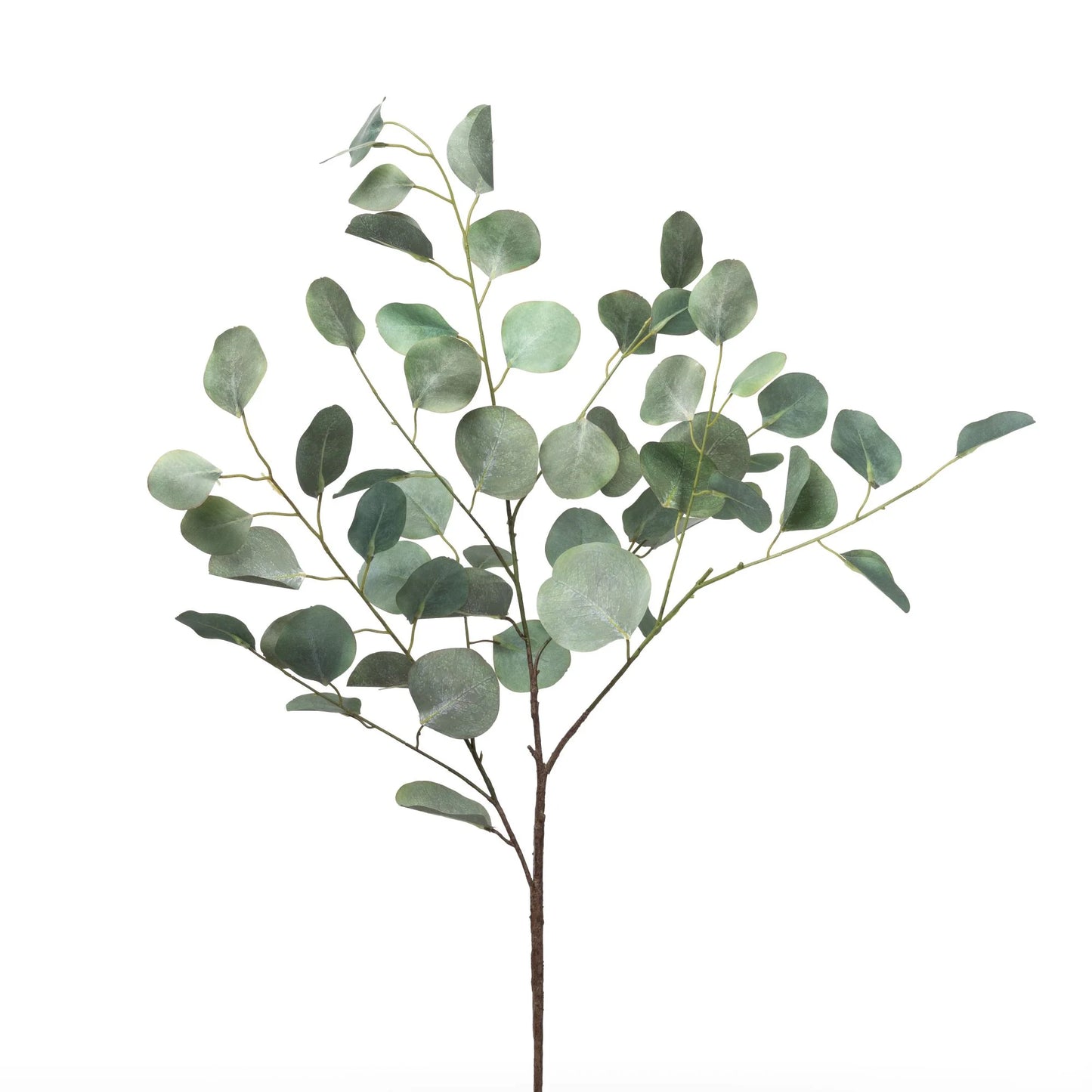 Eucalyptus Stem | 40"