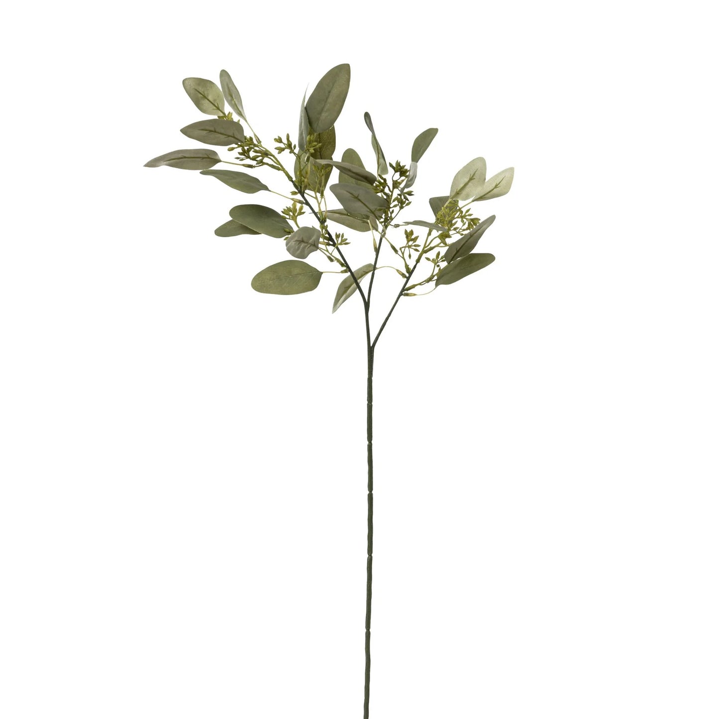 Seeded Eucalyptus Stem | 25"