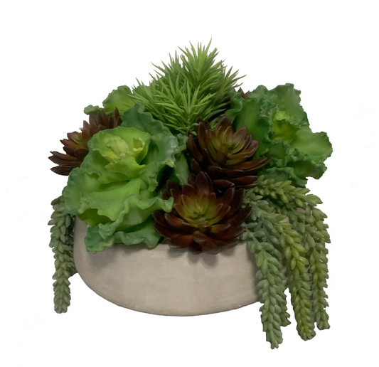 12" Concrete Mixed Succulent Arrangement