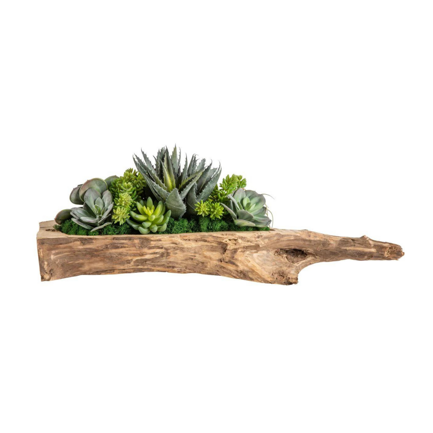 Driftwood Succulent Arrangement